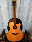 James Neligan Acoustic Guitar Afci