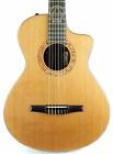 Jason Mraz Taylor Signature Nylon String Acoustic Electric Guitar W Ohsc 841060041462