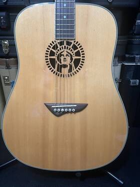 Jta-100 Jay Turser Ng Lady Liberty Acoustic Electric Guitar Rare