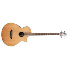 Jbcer Breedlove Solo Jumbo Bass 875934008077