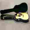 Jc16re Aura Martin Guitar System By Fishman Original Hard Case
