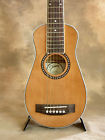 Jg-tr2 Jgtr2 Johnson Acoustic Travel