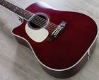 Jj325src-12lh Takamine John Jorgenson 12-string 799493257403