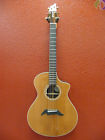 Journey Breedlove Fs Acoustic Electric Guitar Brazilian Rosewood Back Sides 875934007568