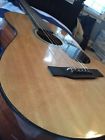 Jr15s Jr45 Reynolds Acoustic Guitar