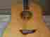 Jt-110-ng Jt-110ng Jay Turser Rare Limited Edition Lady Liberty Acoustic Electric Guitar