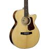 L100fns-a-u Cort Luce Folk Cutaway Acoustic Electric Guitar Natural 809383839434