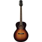 Lh-200-fe3-sn The Loar Small Body 840246032867