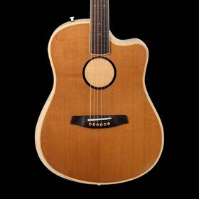 Aeg-1 Lr Baggs 897042003010 Torrefied Acoustic Electric Guitar With Softshell Case
