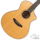 Lrprcn01cesswa2 Breedlove Limited Run Premier Concert Ce