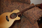 Ltd-2000 Takamine Spectacular Limited Edition Natural