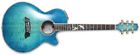 Ltd-2016 Takamine Decoy Masterpiece
