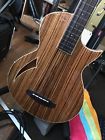 Ltl4znat Esp Ltd Nat Thinline Exotic Zebrawood Bass Guitar Natural