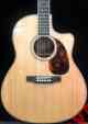 Lv-05e Hs Larriv Case Electric Acoustic Cutaway