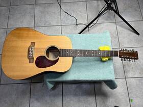 Dm-12 Martin Acoustic-electric 12-string Guitar With Hardshell Case. 2005