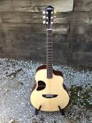 Mg-4.0xp Mcpherson Guitar Madagascar Carpathian Free Shipping Conus