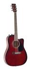 Jg-650-tr N-a Johnson Thinbody Acoustic 840246005090