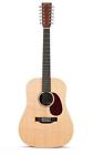 D12x1ae N-a Martin Guitar 729789400824