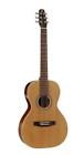 N-a Seagull Coastline Grand Qi Guitar Guitars 623501029259