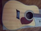 N50sce Michael Kelly Guitar