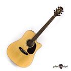 Eg350sc Na Takamine Flame Maple 736021190511