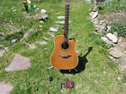 Np-15c Takamine
