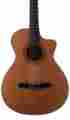 Ns72ce Taylor W Hardshell Case