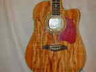 Og2cesm Oscar Schmidt By Washburn 852688892473