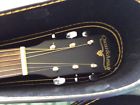 Og2n Oscar Schmidt Acoustic Og2