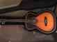 Om-03pa Larrivee Edition 1999 Flamed Maple Finish Pete Special Anderson Satin