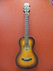 Oregon Parlor Burst Breedlove Limited Edition Acoustic-electric Guitar With Case 875934007292