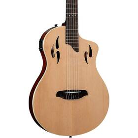 Ortega 842960184976 Rtpstd Nylon-string Acoustic-electric Guitar Natural
