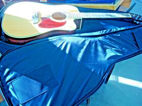 328277092ce Oscar Schmidt Acoustic/electric Guitar