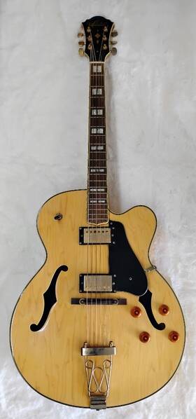 Oe-40 Oscar Schmidt Model Full Bodied Electric Guitar In Gig Bag