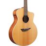 Pa230ensl Ibanez Pa Series Fingerstyle Acoustic Electric Guitar Natural 549763285317