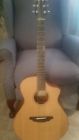 C250-cme Passport Breedlove Acoustic-electric Guitar