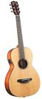 Passportparlor Breedlove Model Passport Parlor Acoustic Electric Usb 875934007216