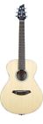 Passporttraveler Breedlove Model Passport Traveler Anniversary Acoustic Guitar 875934005717