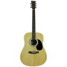 Pd1-n Perry Adult Dreadnought Acoustical 884088947446