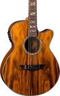 Pe Coco Dean Performer Cocobola Acoustic Electric Guitar 814064028456