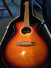 24-ecvs Pf Palmer Accoustic Electric Guitar Cvs