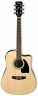 Pf15ece-nt Ibanez Performance Dreadnought Guitar Bronze Natural 606559999019