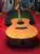 Pg-ltd Made Taylor 2003 Pelican Acoustic Electric Guitar