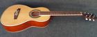 Pn1-nt Pn1nt Ibanez Parlor Compact