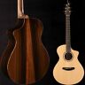 Prcn01ceeubr Breedlove Premier Concert Ce Ltd 850024751606
