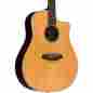 Predredr-2014 Breedlove Premier Dreadnought Acoustic-electric Guitar Rosewood 875934006271