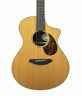 Premierconcertltd Breedlove Premier Concert Ltd