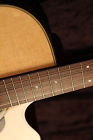 Pro-2-dc Takamine Pro Series 2-dc