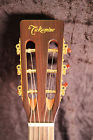 Pro-3-ny Takamine Pro Series 3-ny