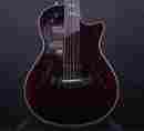 Pro-rw Taylor T5z Pro Rosewood Limited Acoustic Electric Guitar Ltd